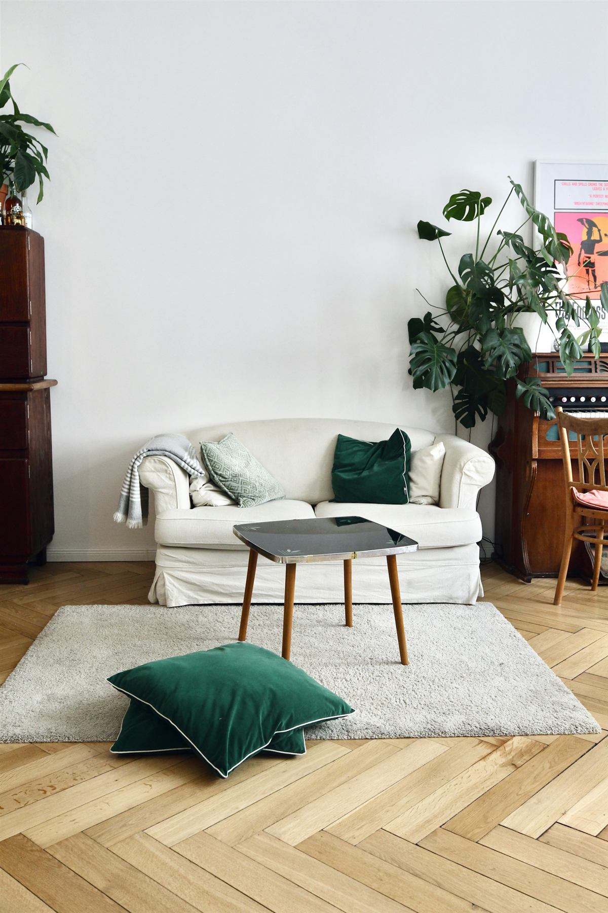 A bright living room with a sofa and plants